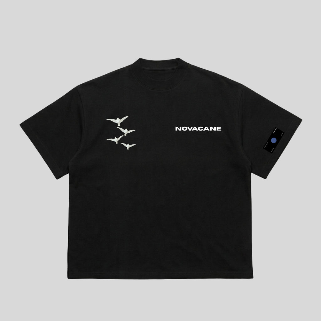 Camiseta Coronación de la Virgen
